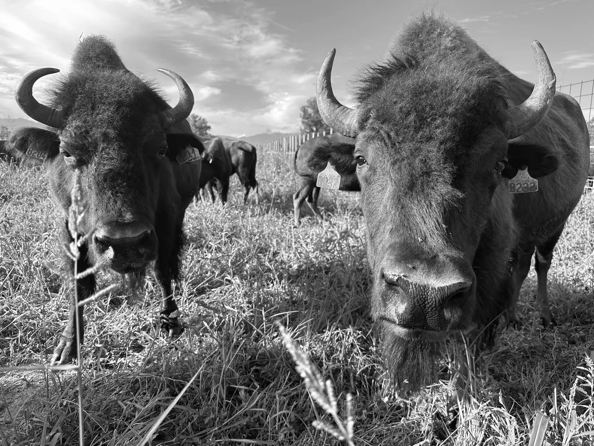 0c84ce5ee5848b6e391aba01ab732f902d2963fe